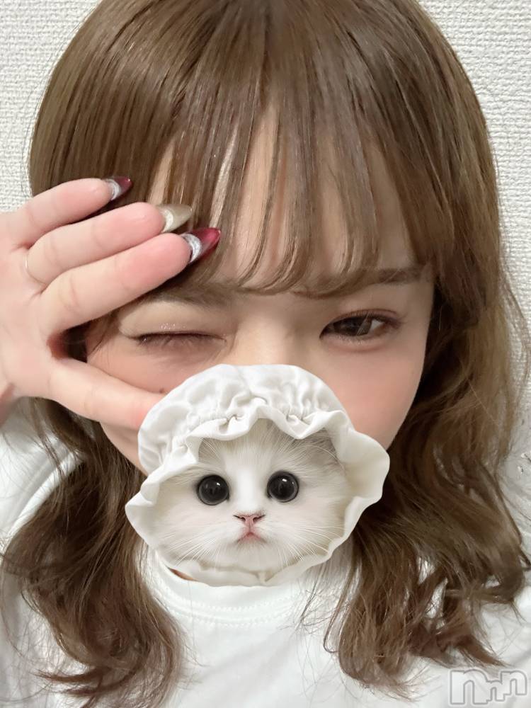 ����������ʥå��������륺�С�Lounge Anshu(�饦�󥸥��󥷥�) �����2��19���̥�֥����ֻ�Ϣ�٤���äƤ����💭🤧��