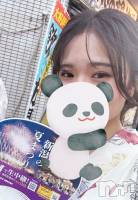 ʥå륺СLounge Anshu(饦󥸥󥷥) (20)821̥֥🍉