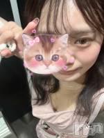 ʥå륺СLounge Anshu(饦󥸥󥷥) (20)1125̥֥ж💫