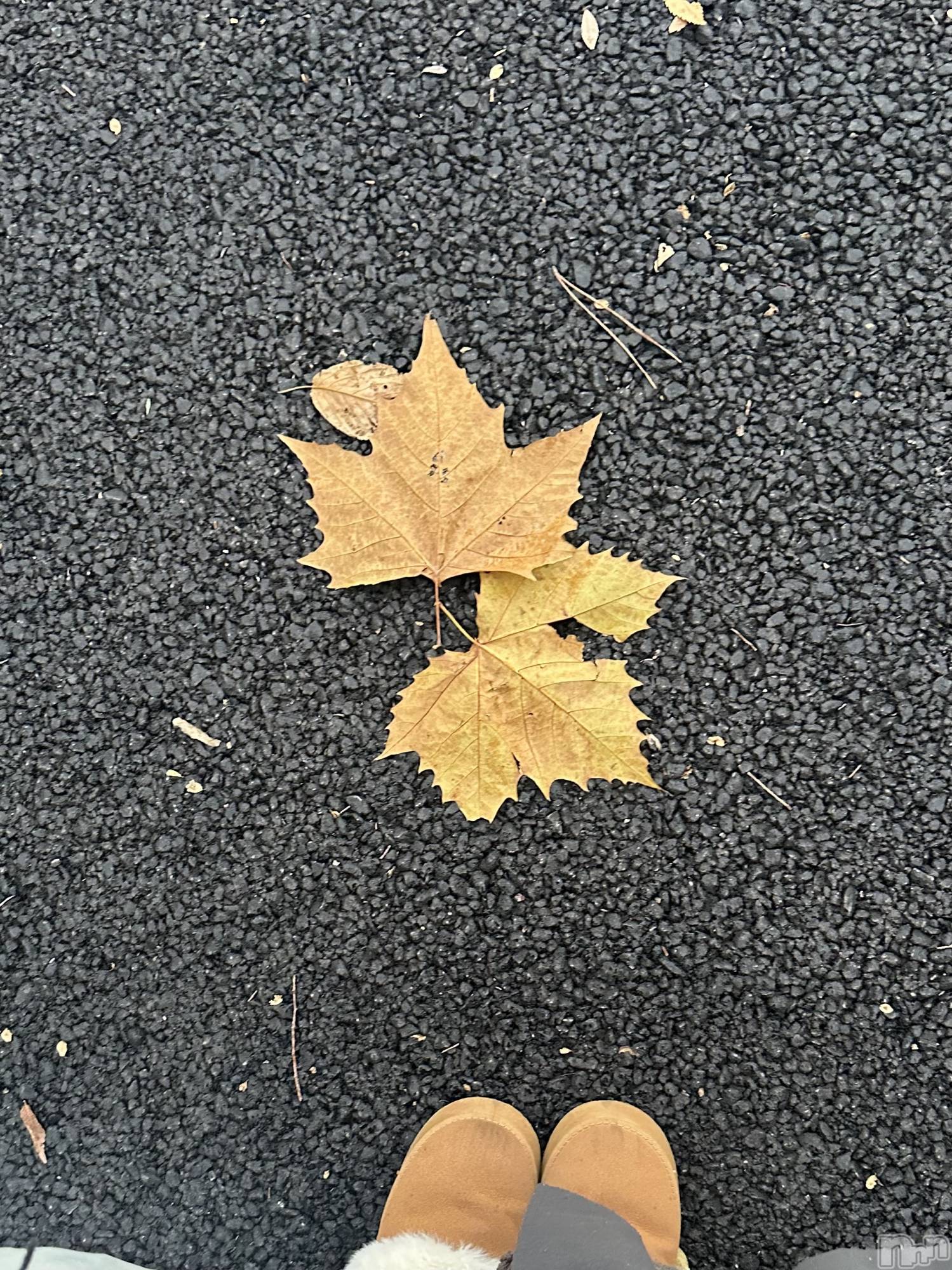 ʥå륺СLounge Anshu(饦󥸥󥷥) 2025ǯ1126ֽ̥֥ܳŪ˽äƤޤ ;  ; ˡ