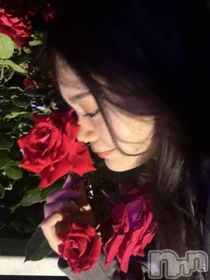 ʥå륺СLounge Anshu(饦󥸥󥷥) (20)611̥֥֤֤繥ʤǤ💓😆💓
