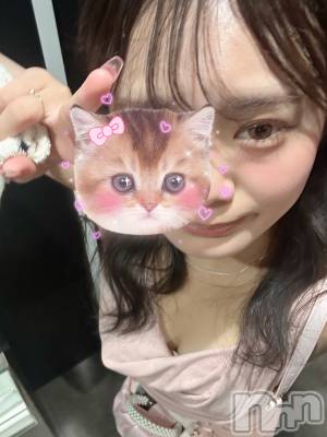 ʥå륺СLounge Anshu(饦󥸥󥷥) (20)1125̥֥ж💫