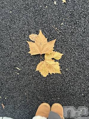 ����������ʥå��������륺�С�Lounge Anshu(�饦�󥸥��󥷥�) ����(20)��11��26���̥�֥����ֽ����ܳ�Ū�˽���äƤ��ޤ��� ;  ; �ˡ�