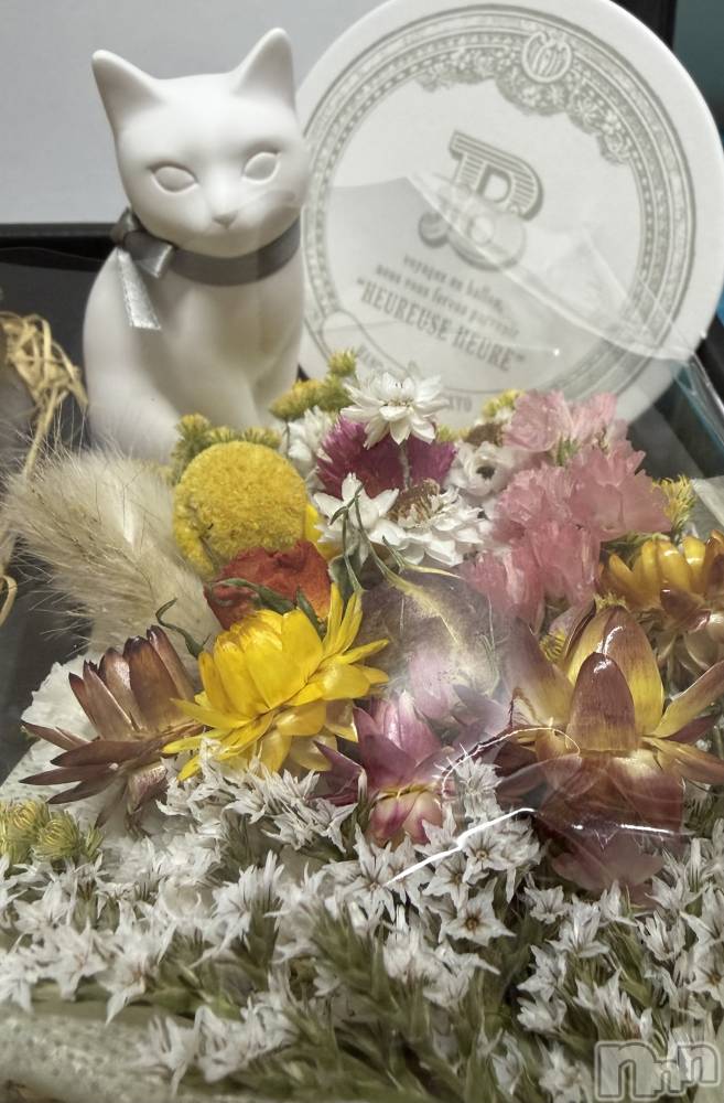 ����������ʥå��������륺�С����饪���ϥ��ܡ���bar���ͻ���(���饪���ϥ��ܡ���С��ӥ��󥷥ޥ�) �ߤ꡼��3��27���̥�֥�����🎁��