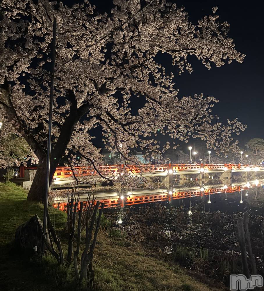 ����������ʥå��������륺�С����饪���ϥ��ܡ���bar���ͻ���(���饪���ϥ��ܡ���С��ӥ��󥷥ޥ�) �ߤ꡼��4��10���̥�֥����ֹ���🩷��