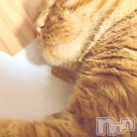 ����������ʥå��������륺�С����饪���ϥ��ܡ���bar���ͻ���(���饪���ϥ��ܡ���С��ӥ��󥷥ޥ�) �ߤ꡼��7��31���̥�֥����֥����䤷(*�����`*)♡��