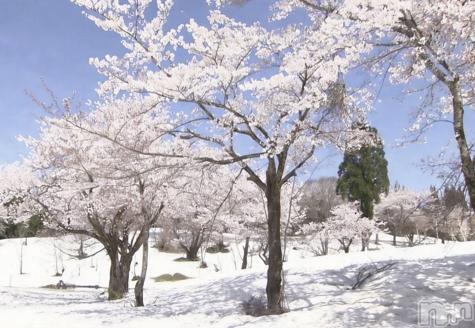 ����������ʥå��������륺�С����饪���ϥ��ܡ���bar���ͻ���(���饪���ϥ��ܡ���С��ӥ��󥷥ޥ�) ��2026ǯ3��13���̥�֥����֤ޤ���դ�ޤ�🥶��