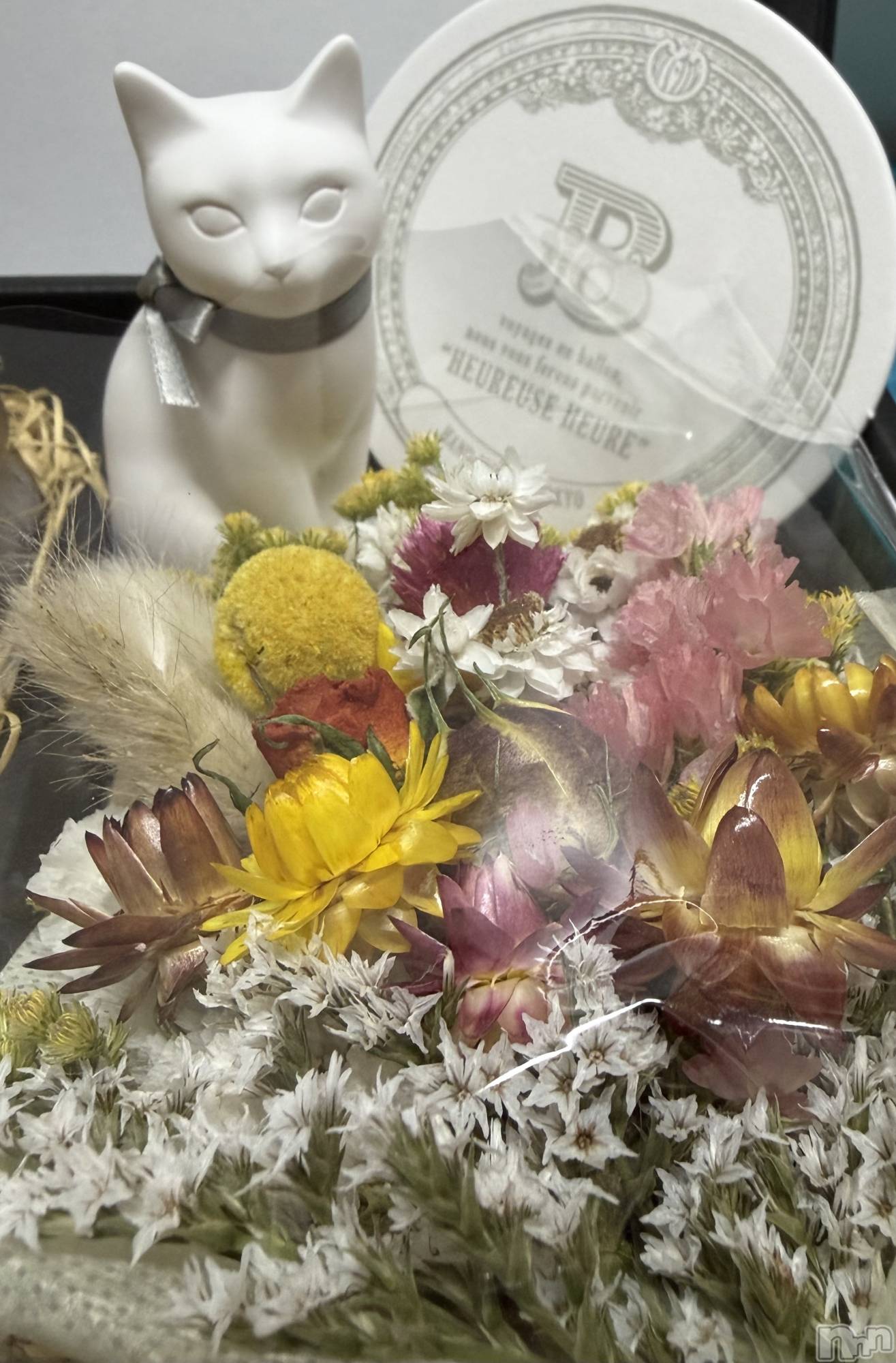 ����������ʥå��������륺�С����饪���ϥ��ܡ���bar���ͻ���(���饪���ϥ��ܡ���С��ӥ��󥷥ޥ�) ��2026ǯ3��27���̥�֥�����🎁��