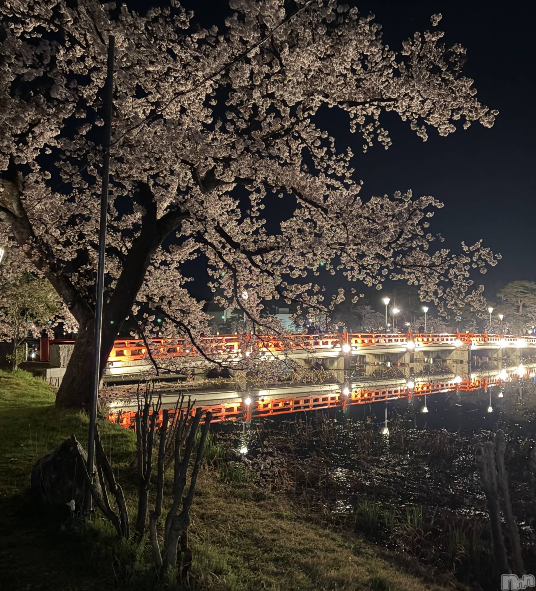 ����������ʥå��������륺�С����饪���ϥ��ܡ���bar���ͻ���(���饪���ϥ��ܡ���С��ӥ��󥷥ޥ�) ��2026ǯ4��10���̥�֥����ֹ���🩷��