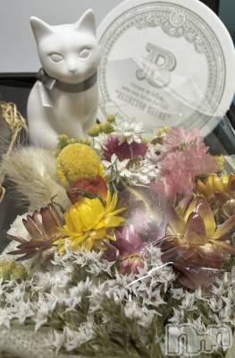 ����������ʥå��������륺�С����饪���ϥ��ܡ���bar���ͻ���(���饪���ϥ��ܡ���С��ӥ��󥷥ޥ�) �ߤ꡼��3��27���̥�֥�����🎁��