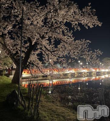 ����������ʥå��������륺�С����饪���ϥ��ܡ���bar���ͻ���(���饪���ϥ��ܡ���С��ӥ��󥷥ޥ�) �ߤ꡼��4��10���̥�֥����ֹ���🩷��