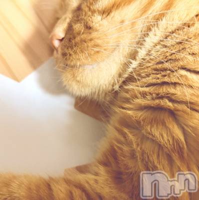 ����������ʥå��������륺�С����饪���ϥ��ܡ���bar���ͻ���(���饪���ϥ��ܡ���С��ӥ��󥷥ޥ�) �ߤ꡼��7��31���̥�֥����֥����䤷(*�����`*)♡��