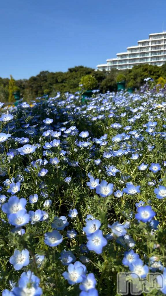 新潟デリヘル新潟デリヘル倶楽部(ニイガタデリヘルクラブ)かえで(18)の2026年4月22日写メブログ「さぁて！」