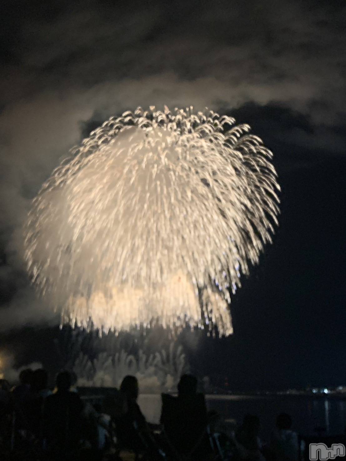 ĥХ顦PremiumRagdoll(ץߥ 饰ɡ) 2024ǯ726ֲ̥֥С🎇