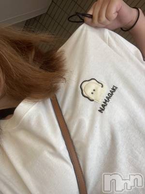ĥХ顦PremiumRagdoll(ץߥ 饰ɡ) 䤫82ֲ̥֥ڡ🦪