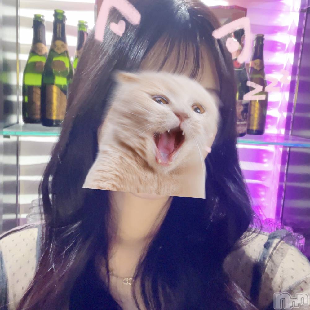 ʥå륺СLE SOLEIL( 쥤) ҤӤ28ֺ̥֥Ƕϳʤ💧
