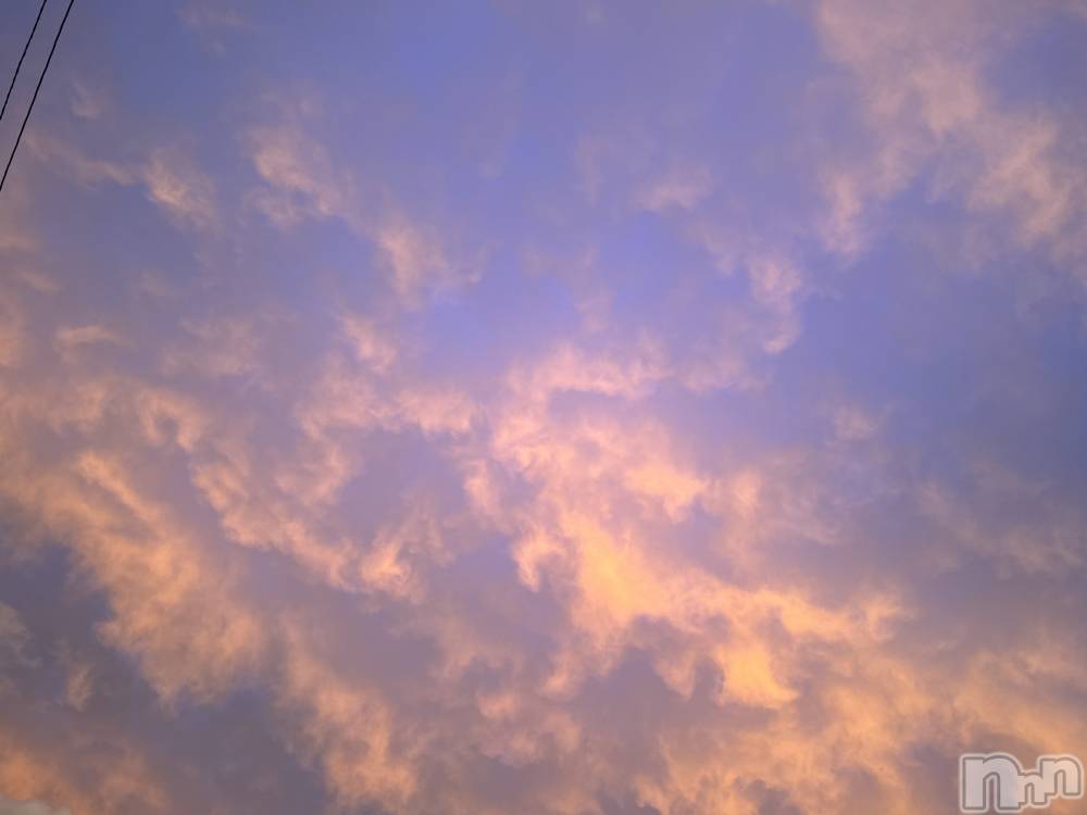 ��ˬ����Х��顦����֥���� �ץ���� ��ˬ(����� �ץ���� ����) �� ��ʤ�8��31���̥�֥�����🌦️��