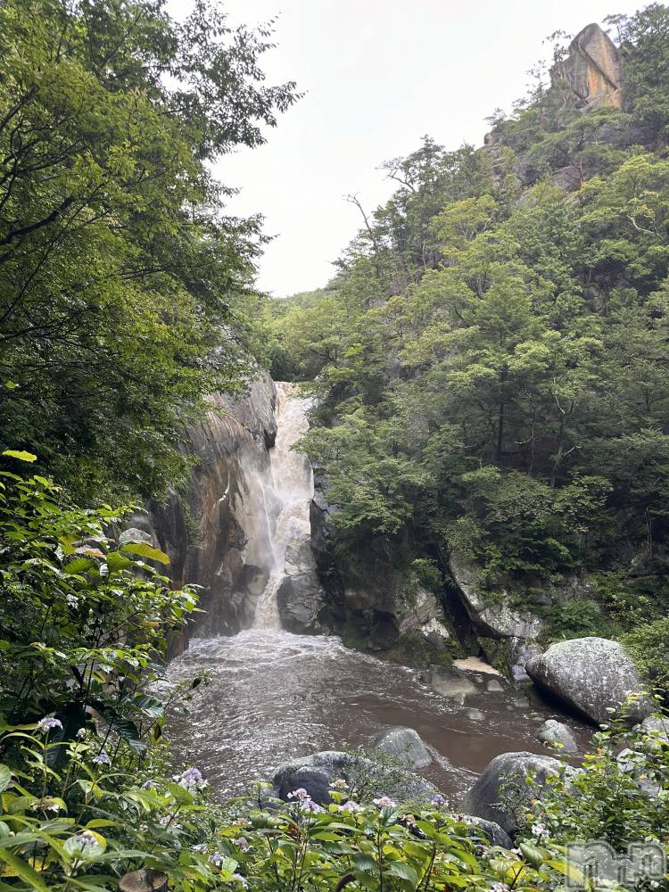 ��ˬ����Х��顦����֥���� �ץ���� ��ˬ(����� �ץ���� ����) �� ��ʤ�9��2���̥�֥�����🌳��