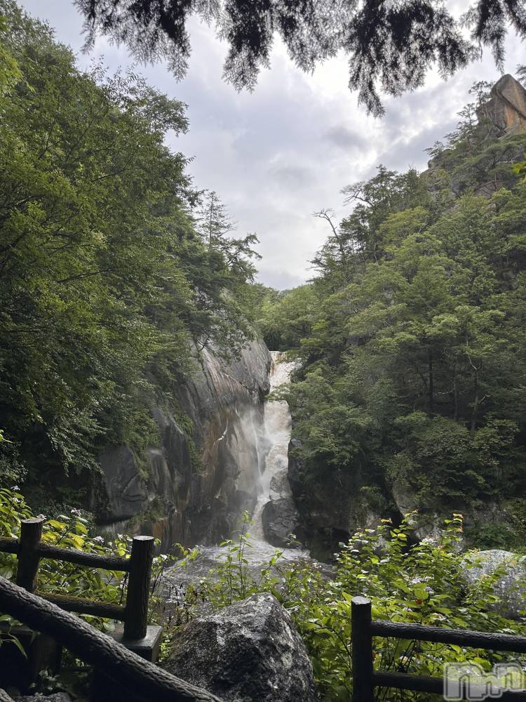 ��ˬ����Х��顦����֥���� �ץ���� ��ˬ(����� �ץ���� ����) �� ��ʤ�10��2���̥�֥�����⛰️��