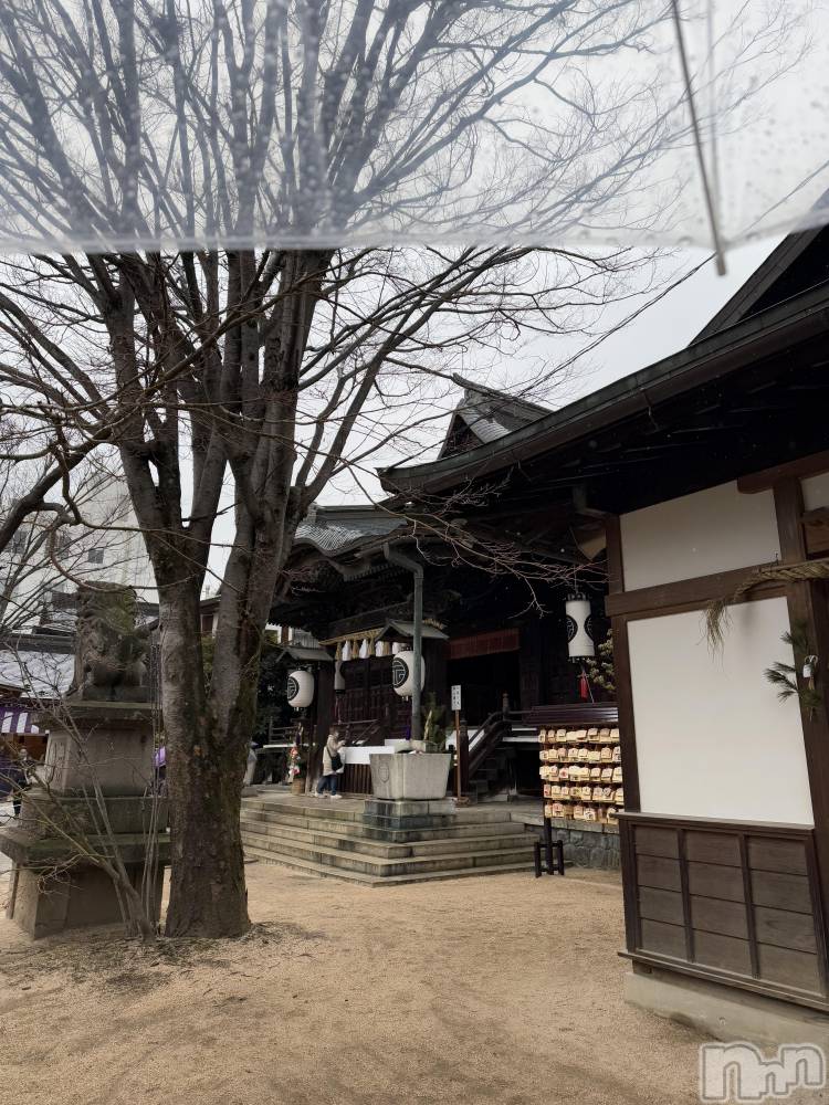 ��ˬ����Х��顦����֥���� �ץ���� ��ˬ(����� �ץ���� ����) �� ��ʤ�1��6���̥�֥�����🌅��