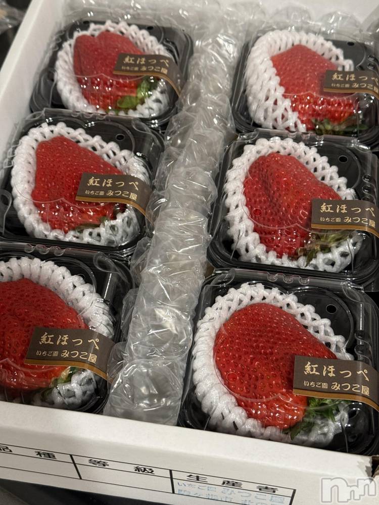 ��ˬ����Х��顦����֥���� �ץ���� ��ˬ(����� �ץ���� ����) �� ��ʤ�2��4���̥�֥�����🍓��