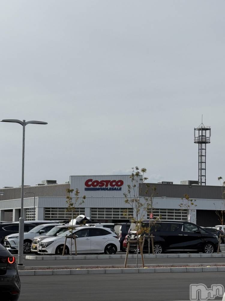 ��ˬ����Х��顦����֥���� �ץ���� ��ˬ(����� �ץ���� ����) �� ��ʤ�2��23���̥�֥�����🛒��