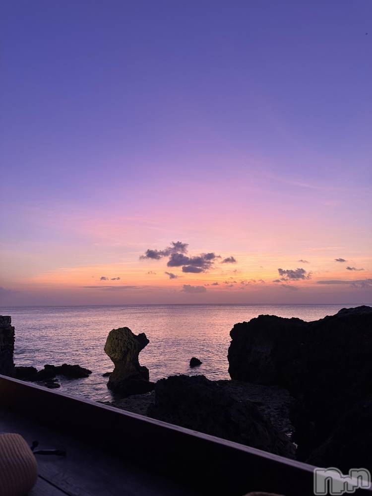 ��ˬ����Х��顦����֥���� �ץ���� ��ˬ(����� �ץ���� ����) �� ��ʤ�3��1���̥�֥�����🌺��