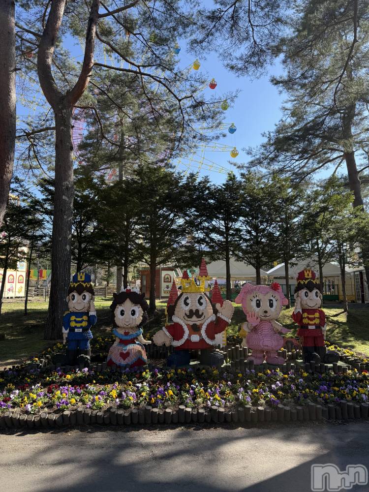 ��ˬ����Х��顦����֥���� �ץ���� ��ˬ(����� �ץ���� ����) �� ��ʤ�5��9���̥�֥�����🎡��