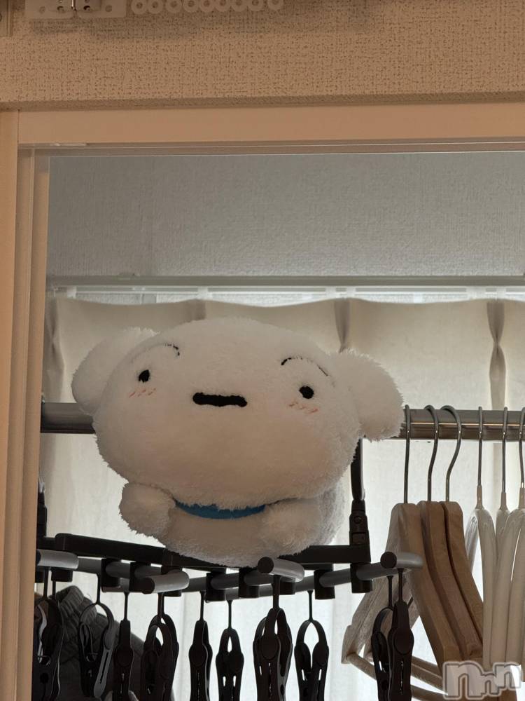 ��ˬ����Х��顦����֥���� �ץ���� ��ˬ(����� �ץ���� ����) �� ��ʤ�5��16���̥�֥�����😂��