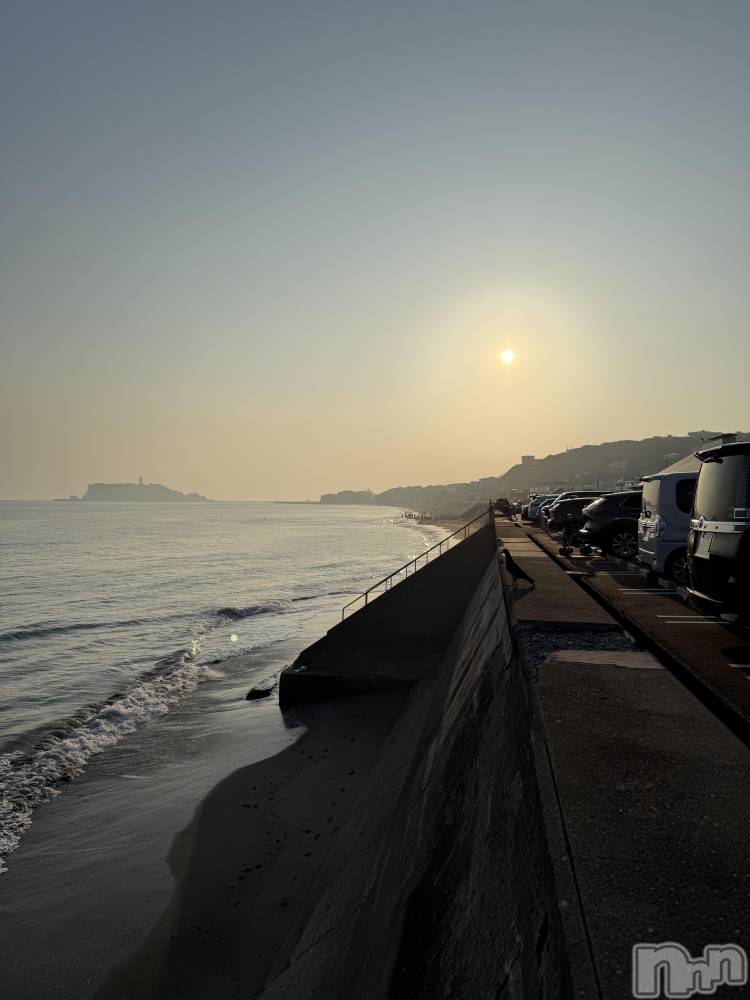 ��ˬ����Х��顦����֥���� �ץ���� ��ˬ(����� �ץ���� ����) �� ��ʤ�6��29���̥�֥�����🏝️��