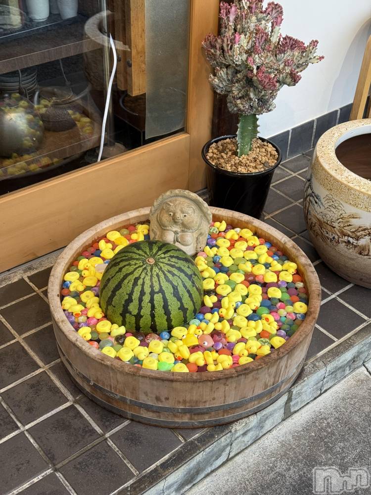 ��ˬ����Х��顦����֥���� �ץ���� ��ˬ(����� �ץ���� ����) �� ��ʤ�7��10���̥�֥�����🍉��