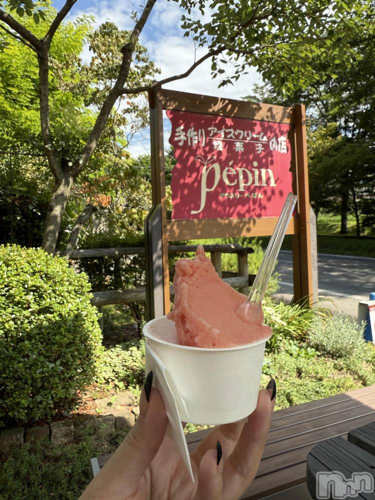 ��ˬ����Х��顦����֥���� �ץ���� ��ˬ(����� �ץ���� ����) �� ��ʤ�8��16���̥�֥�����🍨��