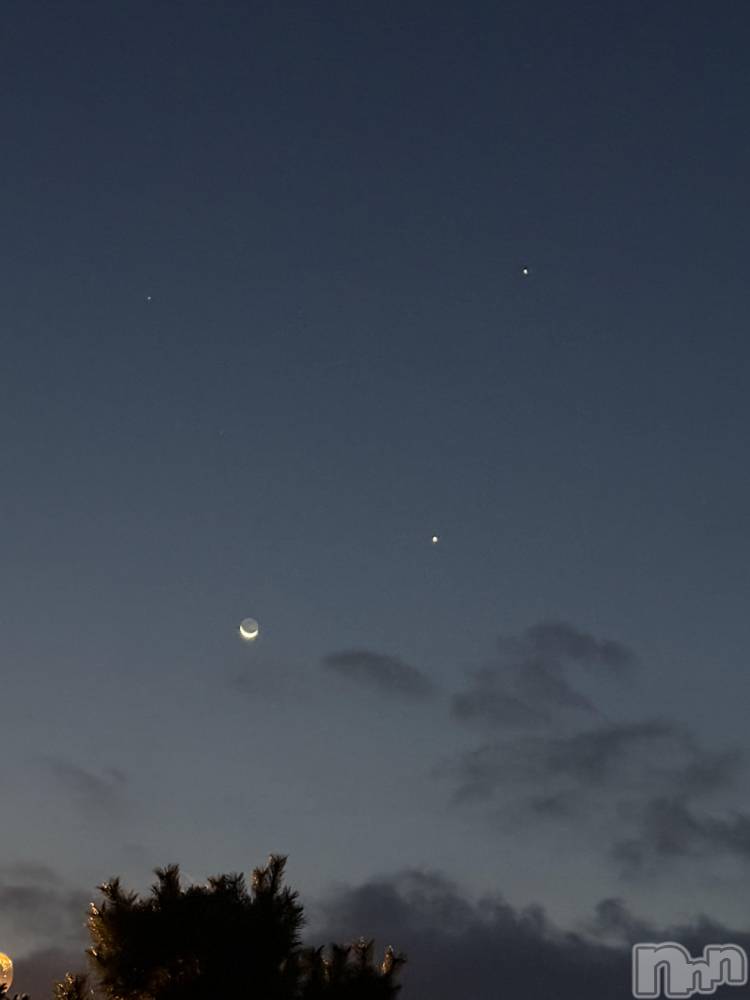 ��ˬ����Х��顦����֥���� �ץ���� ��ˬ(����� �ץ���� ����) �� ��ʤ�8��22���̥�֥�����🌙��