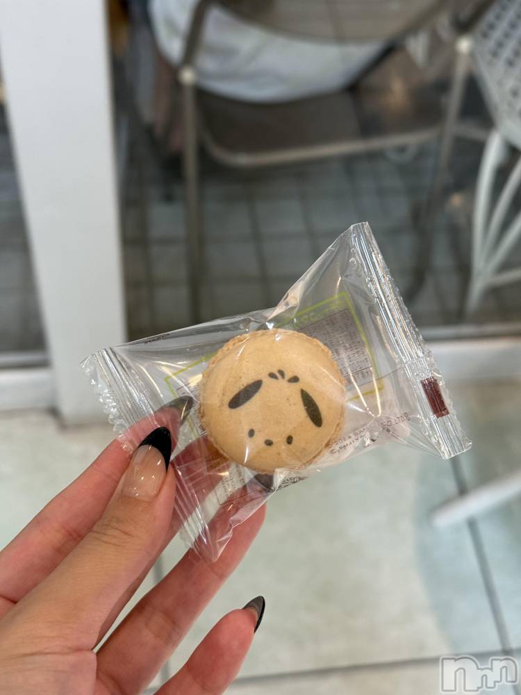 ��ˬ����Х��顦����֥���� �ץ���� ��ˬ(����� �ץ���� ����) �� ��ʤ�8��26���̥�֥�����🥮��