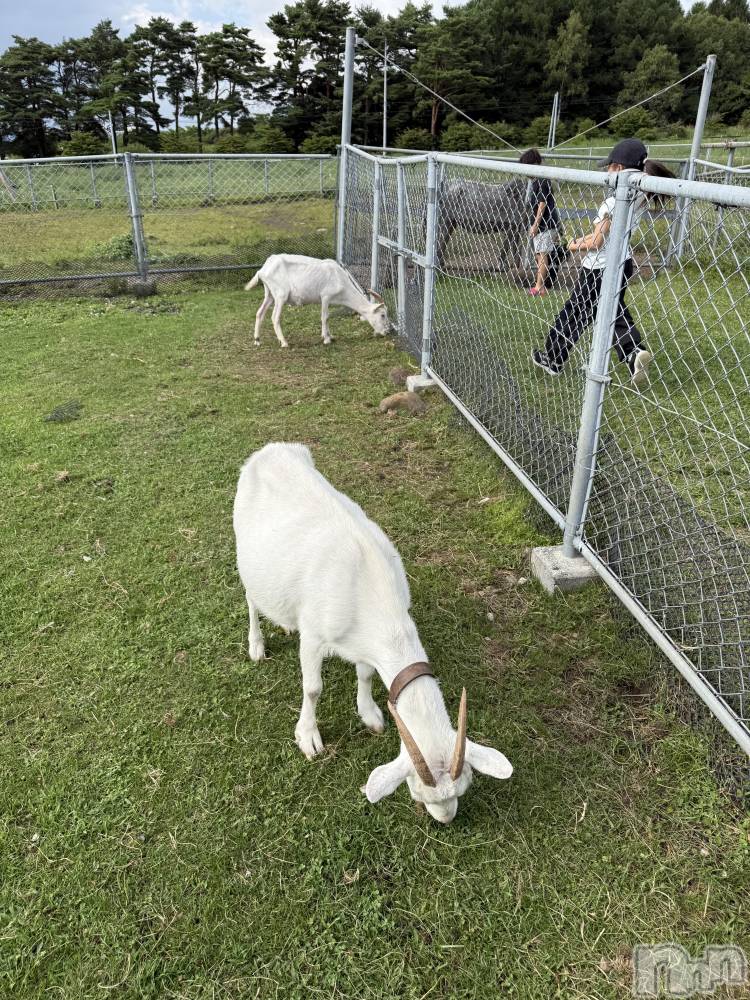 ��ˬ����Х��顦����֥���� �ץ���� ��ˬ(����� �ץ���� ����) �� ��ʤ�8��30���̥�֥�����🐐��