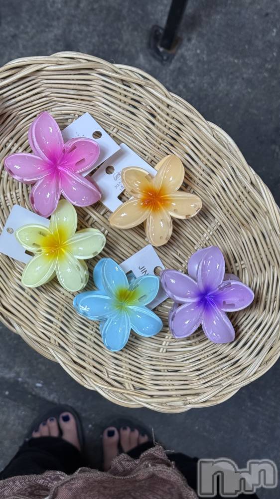 ��ˬ����Х��顦����֥���� �ץ���� ��ˬ(����� �ץ���� ����) �� ��ʤ�9��24���̥�֥�����🌺��