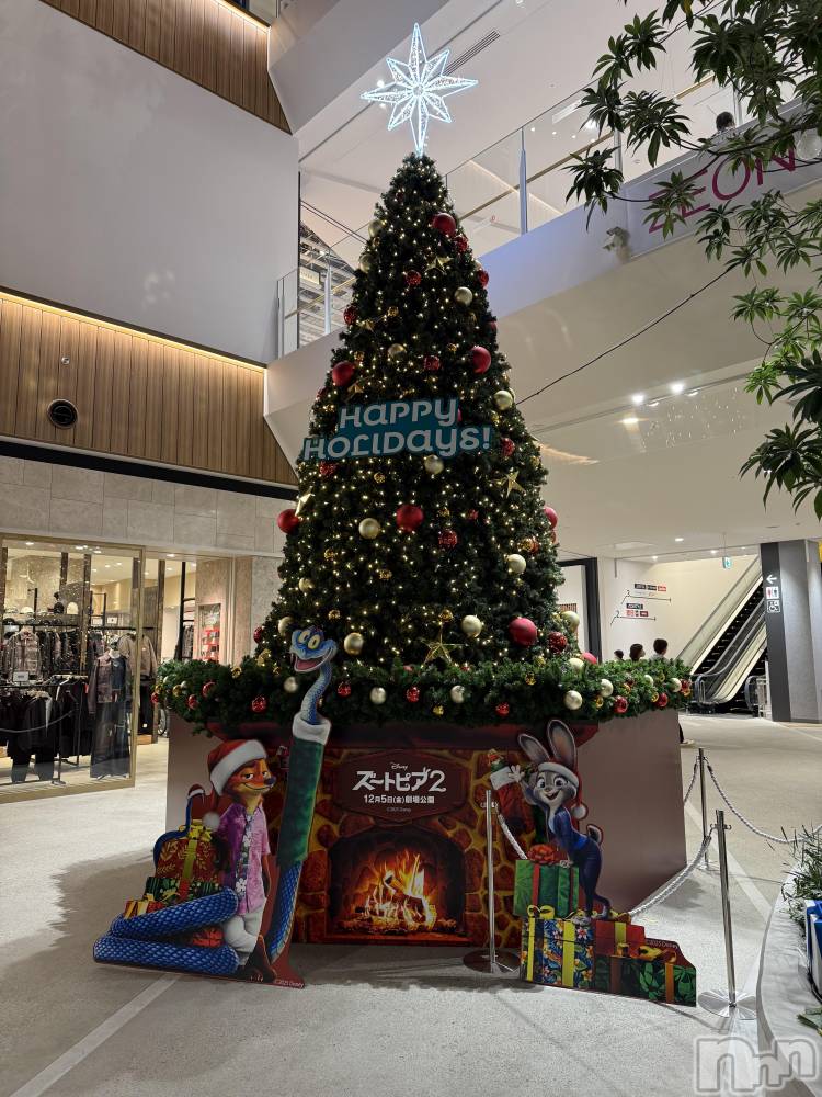 ��ˬ����Х��顦����֥���� �ץ���� ��ˬ(����� �ץ���� ����) �� ��ʤ�11��22���̥�֥�����🎄��