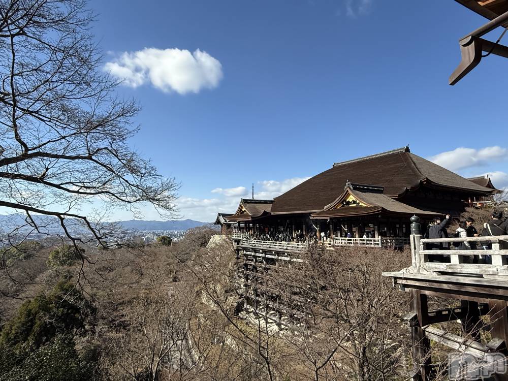 ��ˬ����Х��顦����֥���� �ץ���� ��ˬ(����� �ץ���� ����) �� ��ʤ�1��22���̥�֥�����☺️��