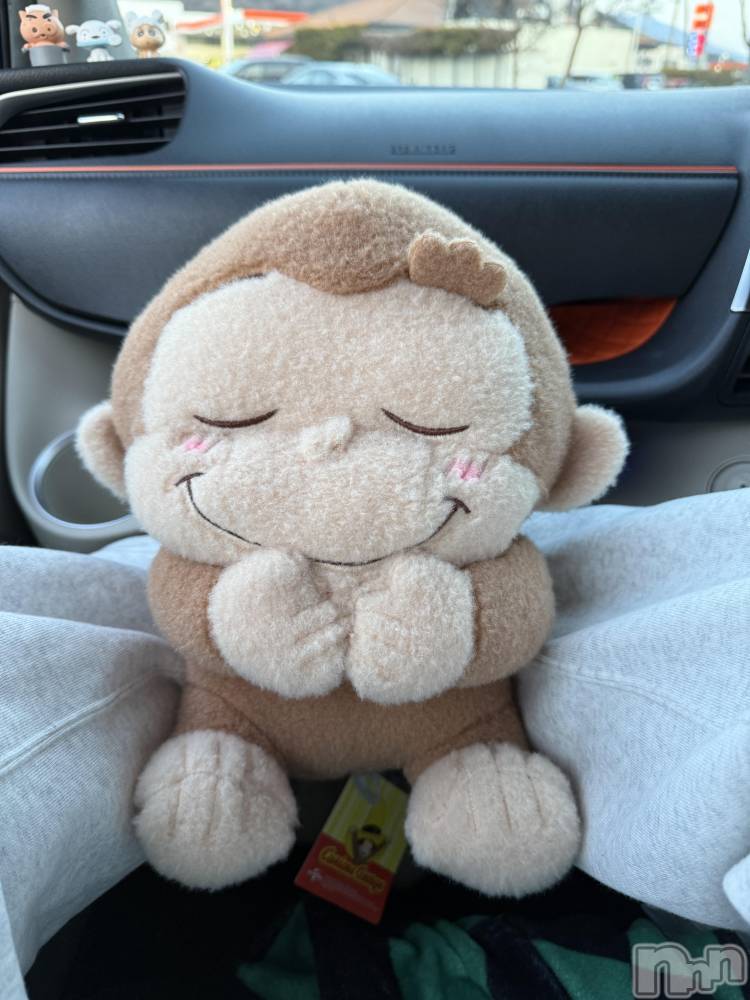 ��ˬ����Х��顦����֥���� �ץ���� ��ˬ(����� �ץ���� ����) �� ��ʤ�3��3���̥�֥�����🐒��