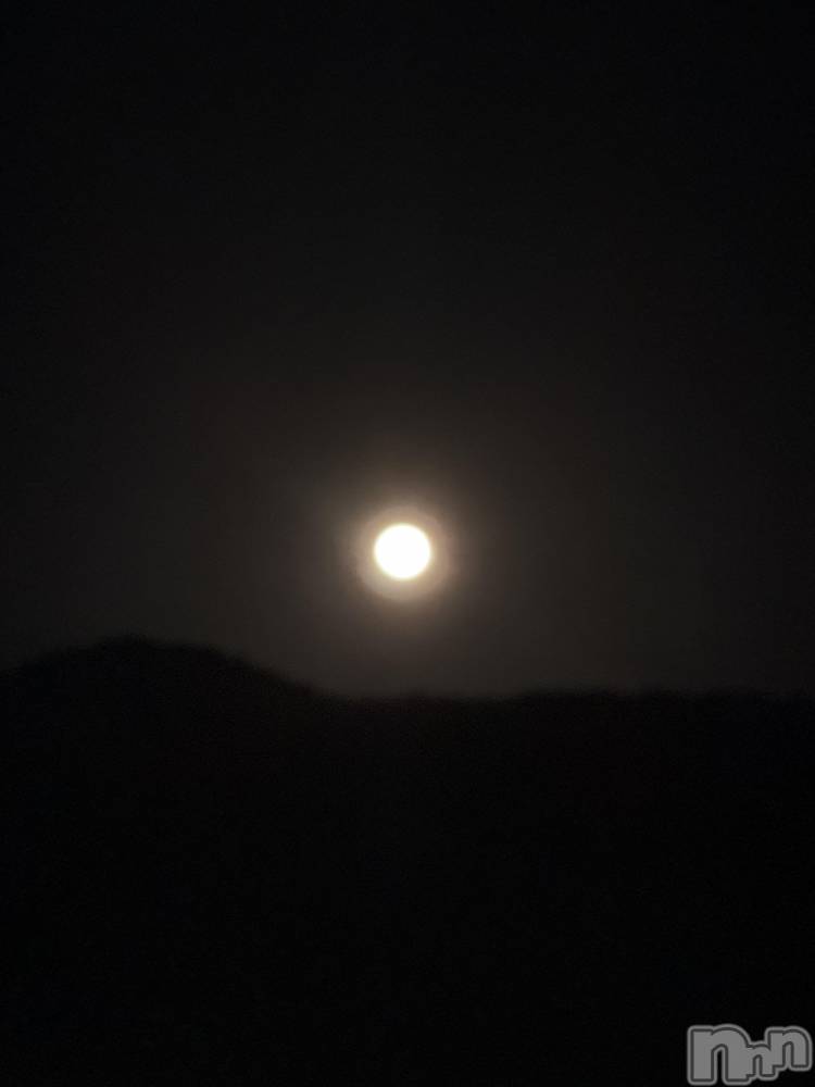 ��ˬ����Х��顦����֥���� �ץ���� ��ˬ(����� �ץ���� ����) �� ��ʤ�3��21���̥�֥�����🌝��