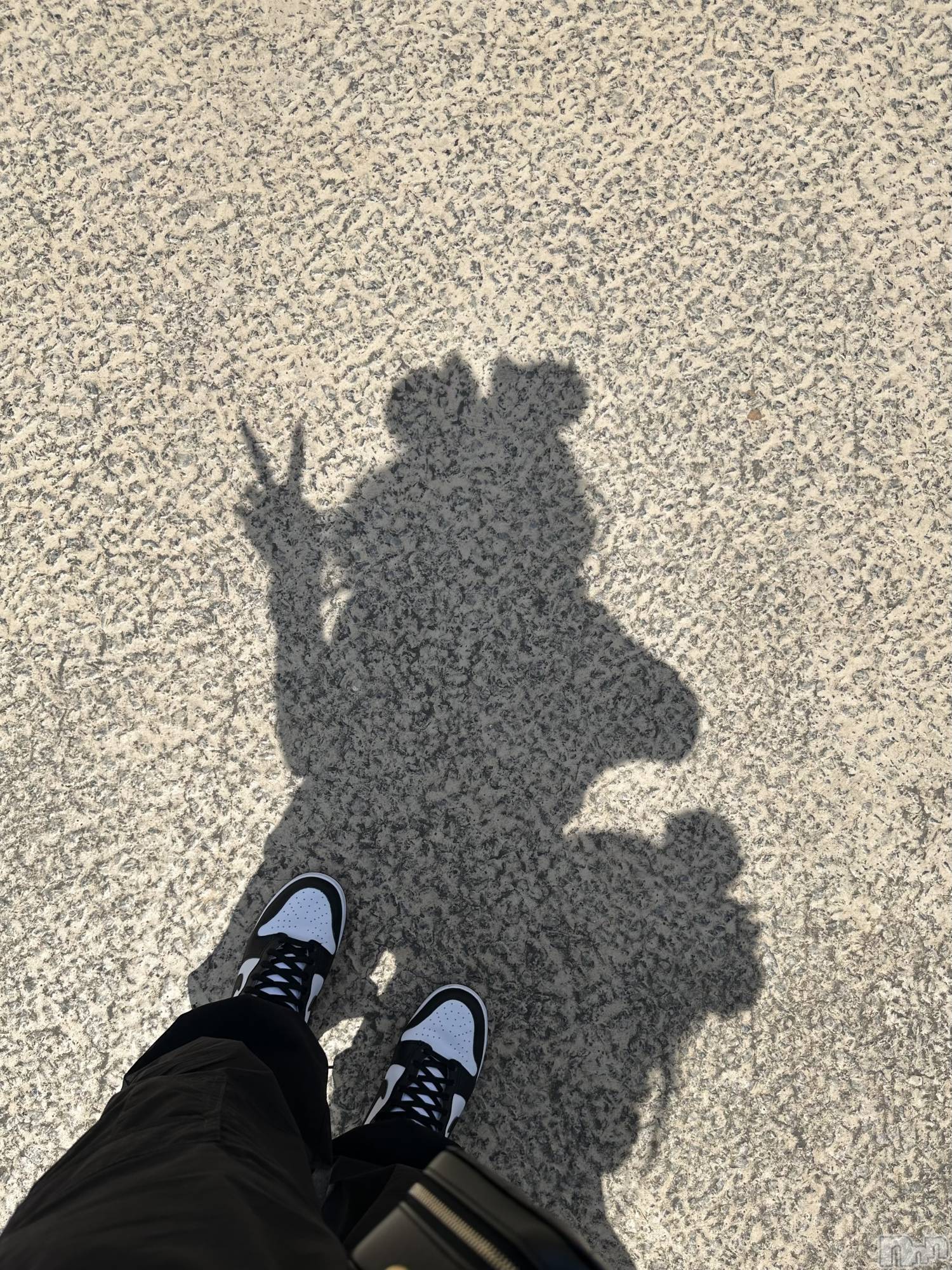 ��ˬ����Х��顦����֥���� �ץ���� ��ˬ(����� �ץ���� ����) ��2024ǯ7��17���̥�֥�����✌️��