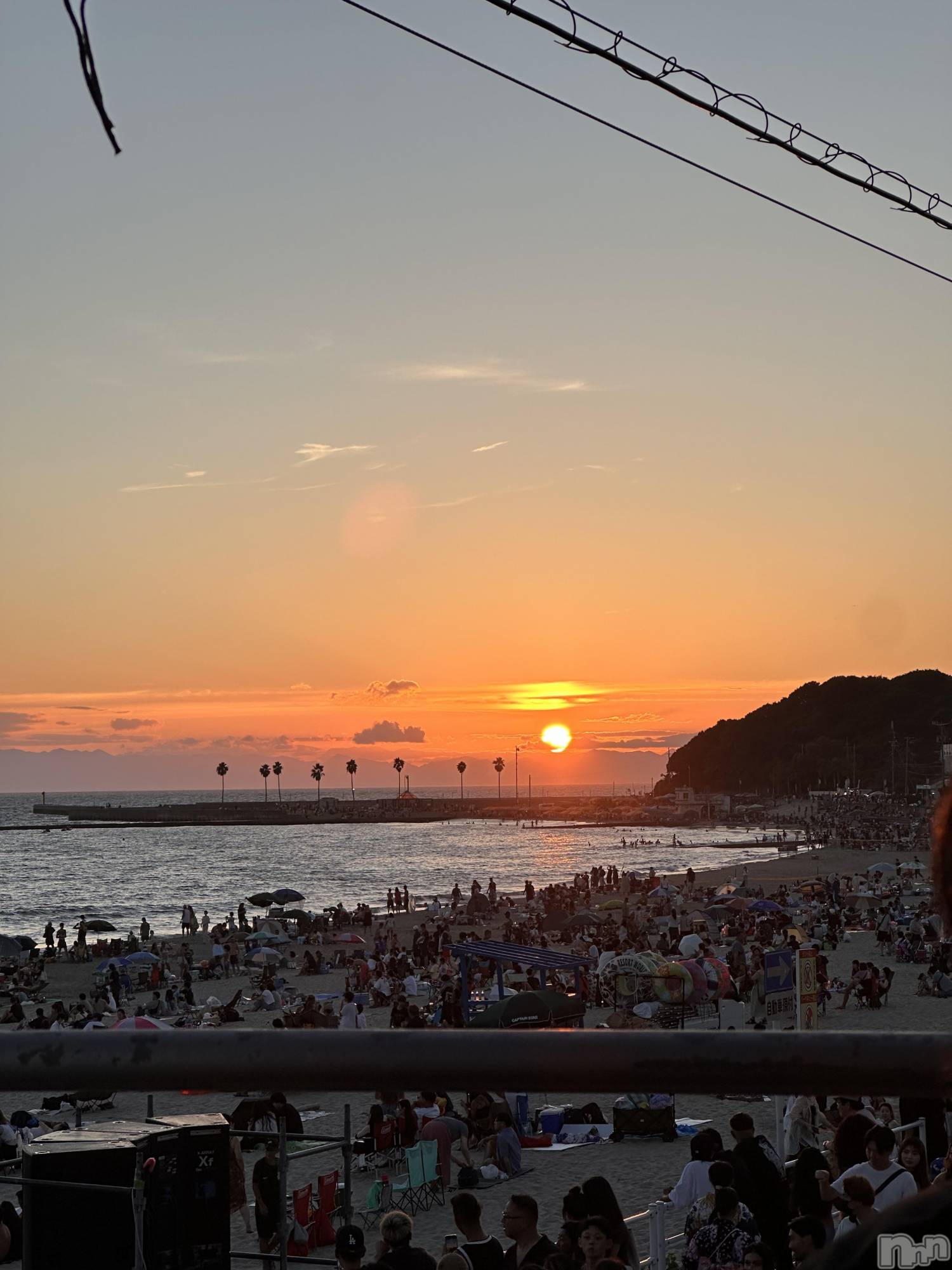 ��ˬ����Х��顦����֥���� �ץ���� ��ˬ(����� �ץ���� ����) ��2024ǯ8��24���̥�֥�����🌆��