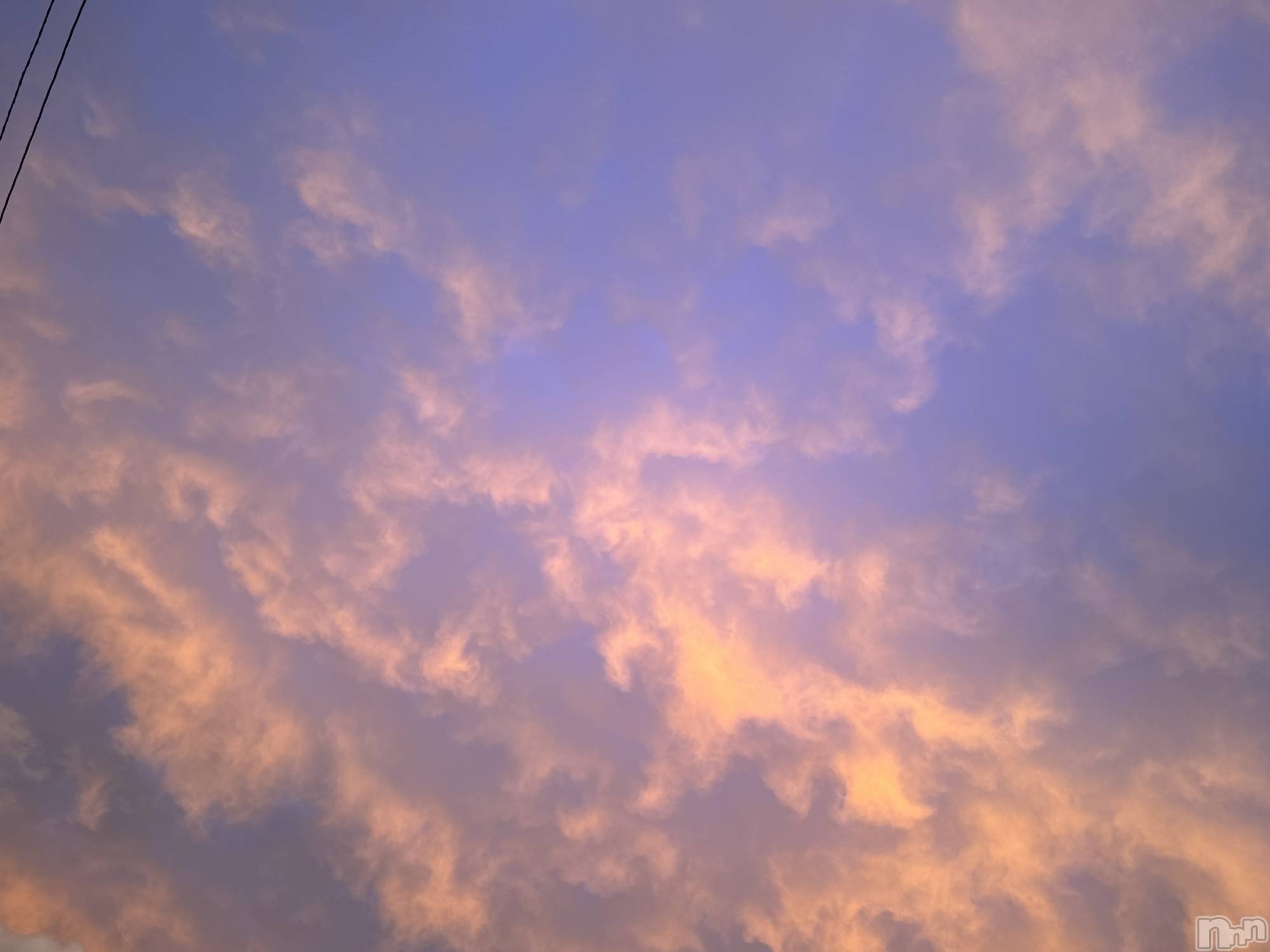 ��ˬ����Х��顦����֥���� �ץ���� ��ˬ(����� �ץ���� ����) ��2024ǯ8��31���̥�֥�����🌦️��