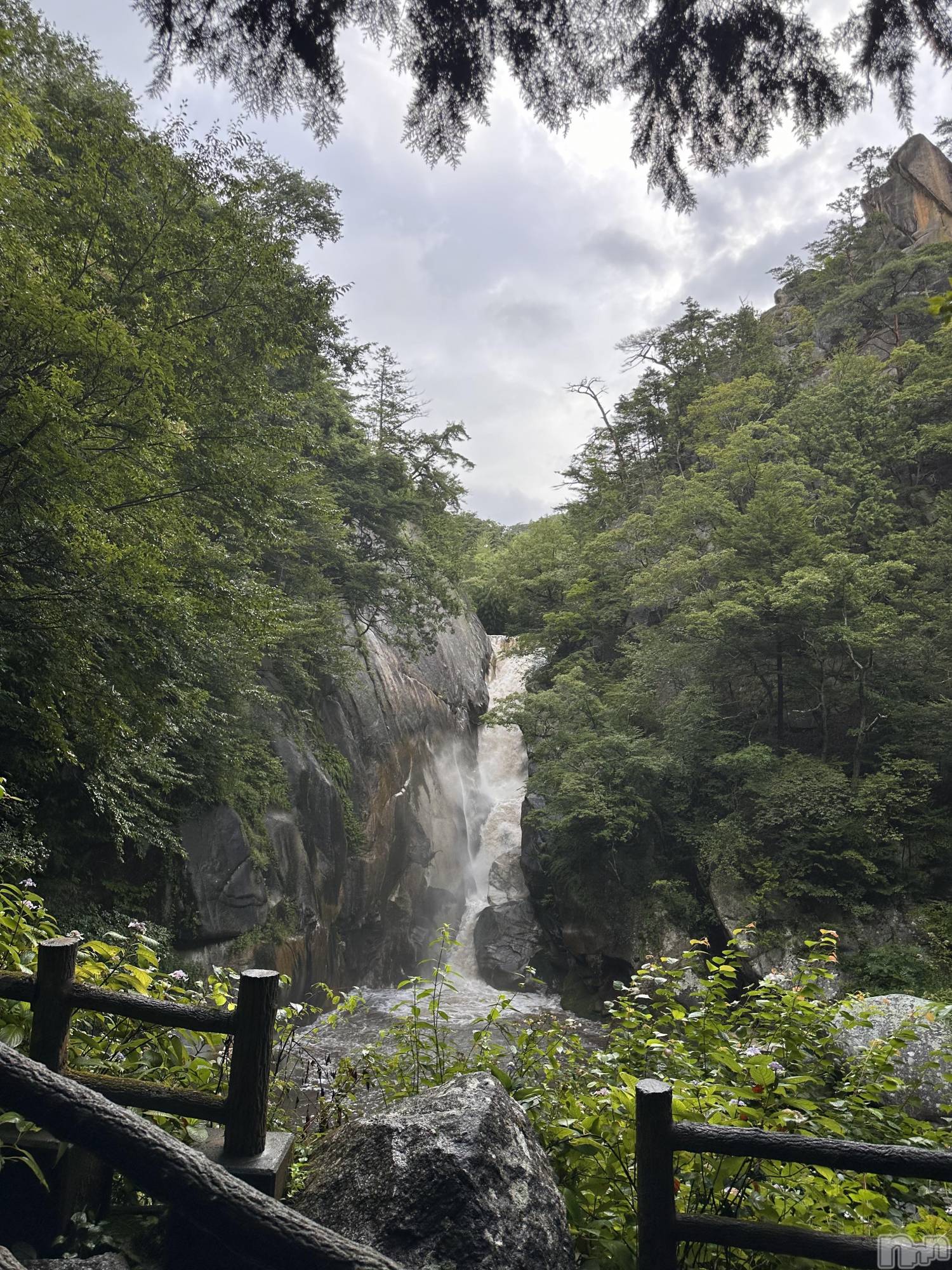 ��ˬ����Х��顦����֥���� �ץ���� ��ˬ(����� �ץ���� ����) ��2024ǯ10��2���̥�֥�����⛰️��