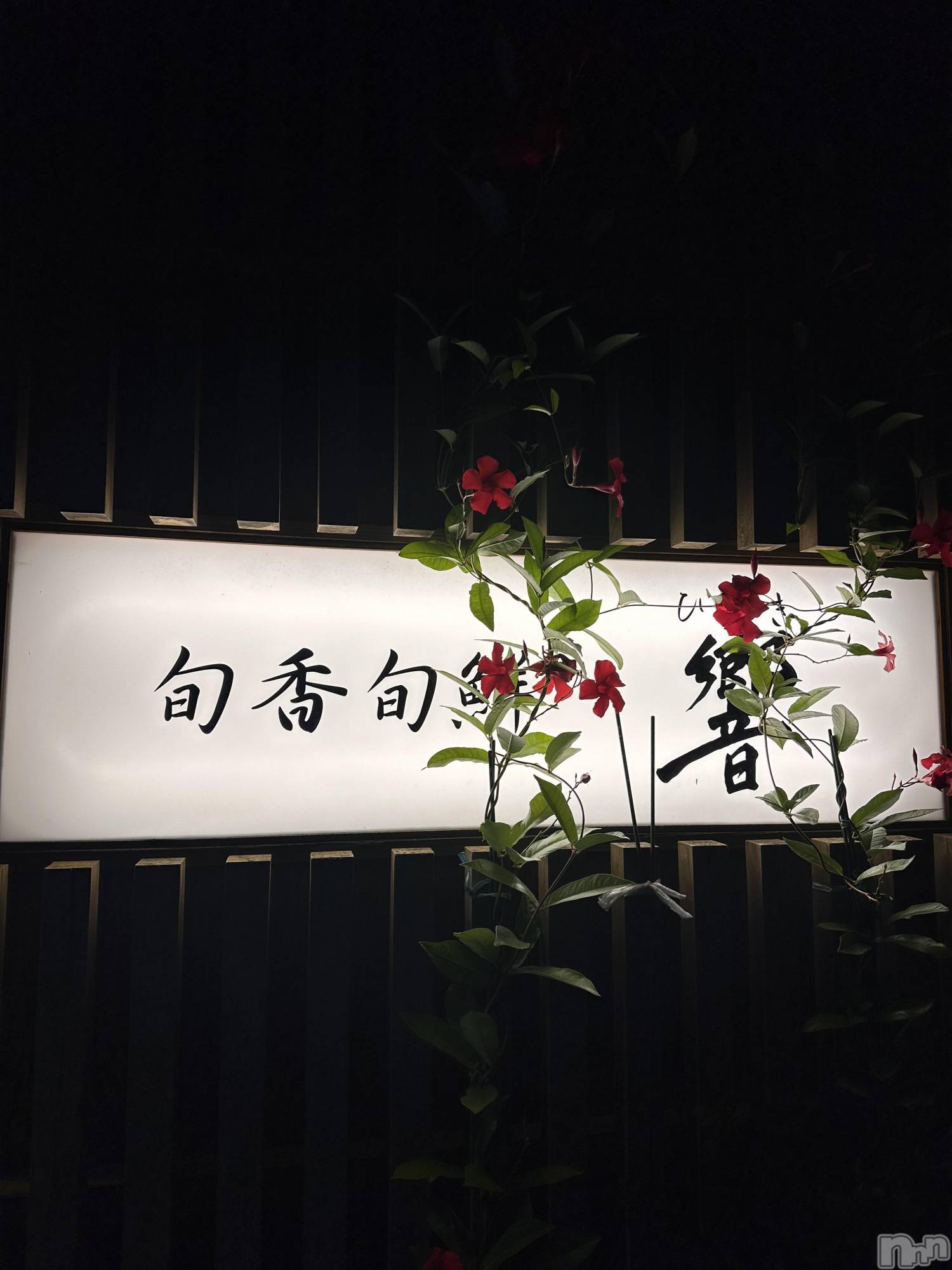 ��ˬ����Х��顦����֥���� �ץ���� ��ˬ(����� �ץ���� ����) ��2024ǯ10��10���̥�֥�����😋��