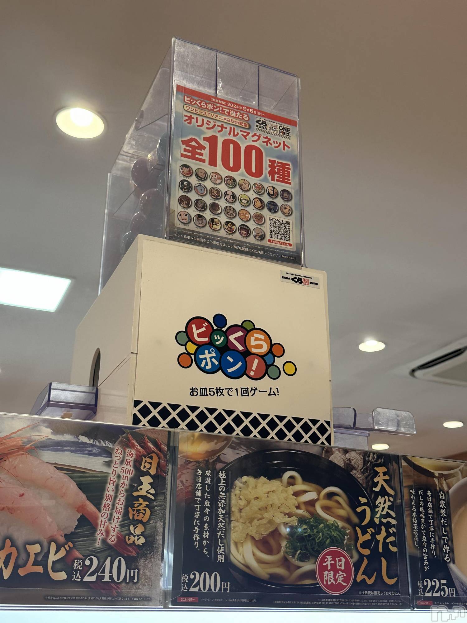 ��ˬ����Х��顦����֥���� �ץ���� ��ˬ(����� �ץ���� ����) ��2024ǯ10��30���̥�֥�����🍣��