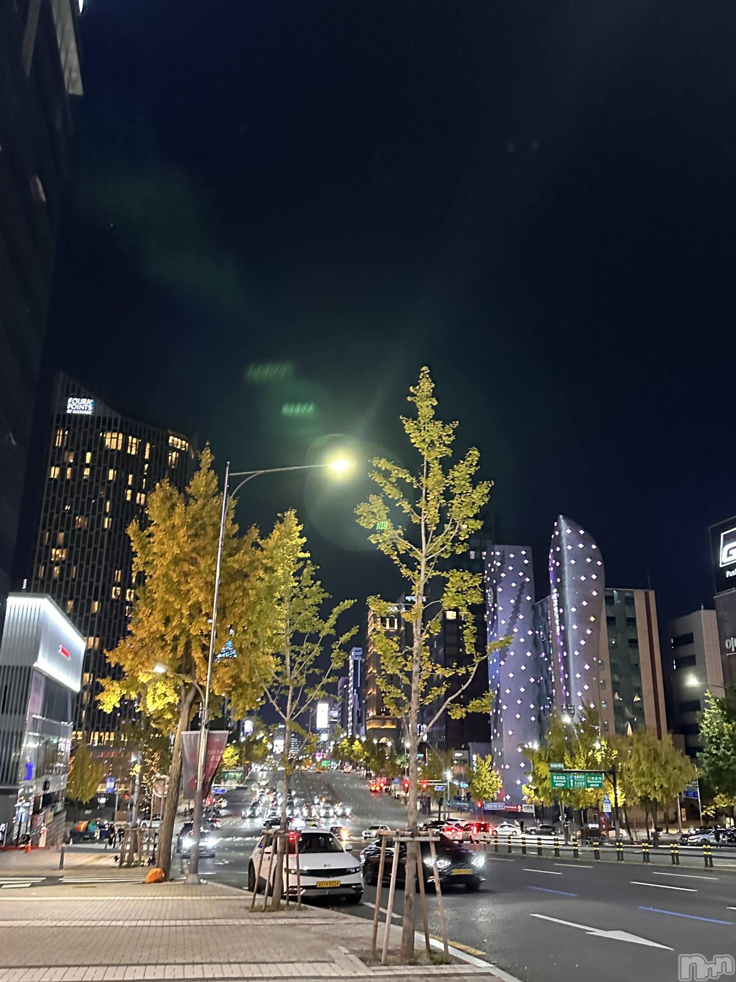 ��ˬ����Х��顦����֥���� �ץ���� ��ˬ(����� �ץ���� ����) ��2024ǯ11��18���̥�֥�����🇰🇷��