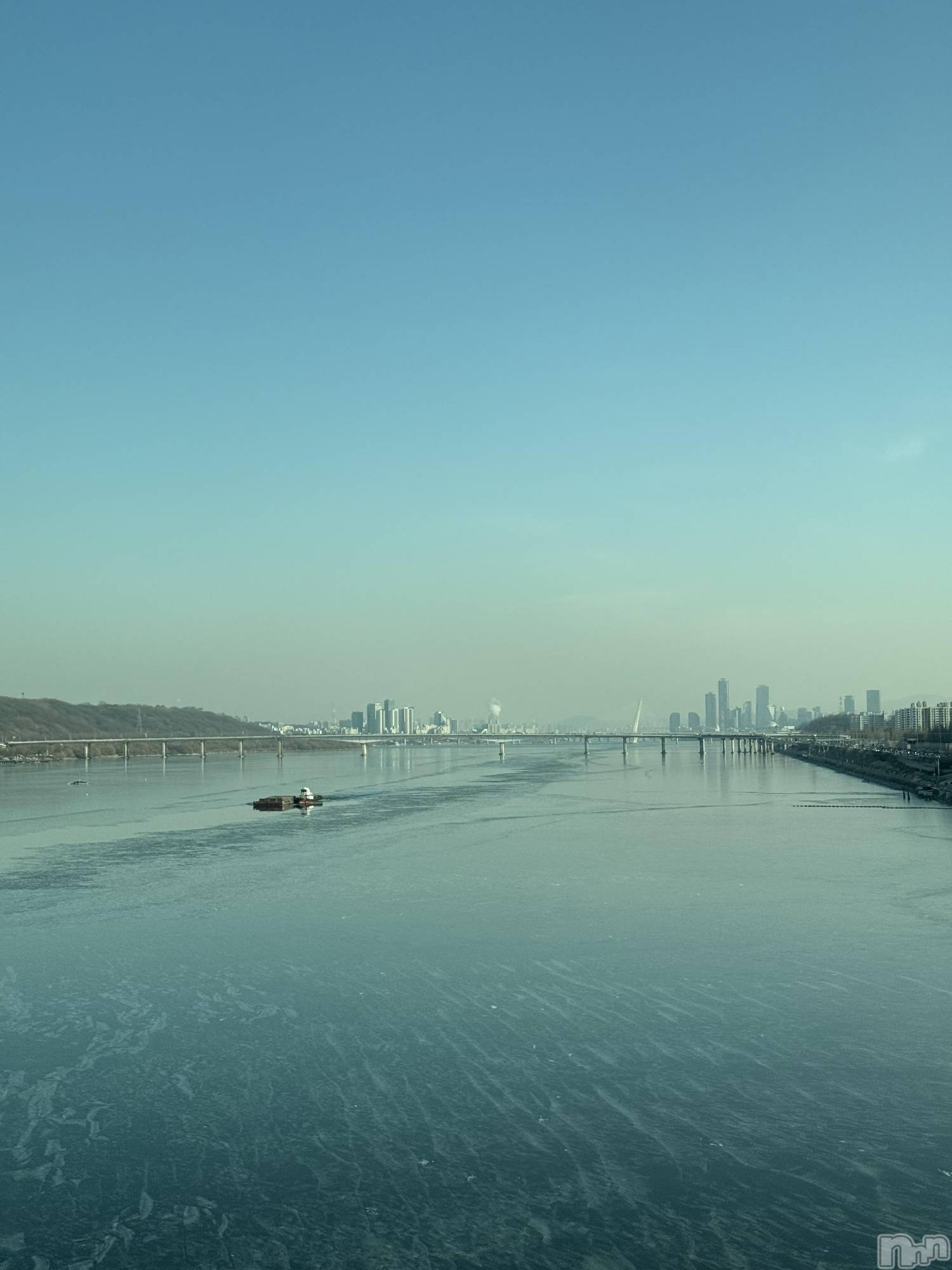 ��ˬ����Х��顦����֥���� �ץ���� ��ˬ(����� �ץ���� ����) ��2025ǯ1��16���̥�֥�����🇰🇷��