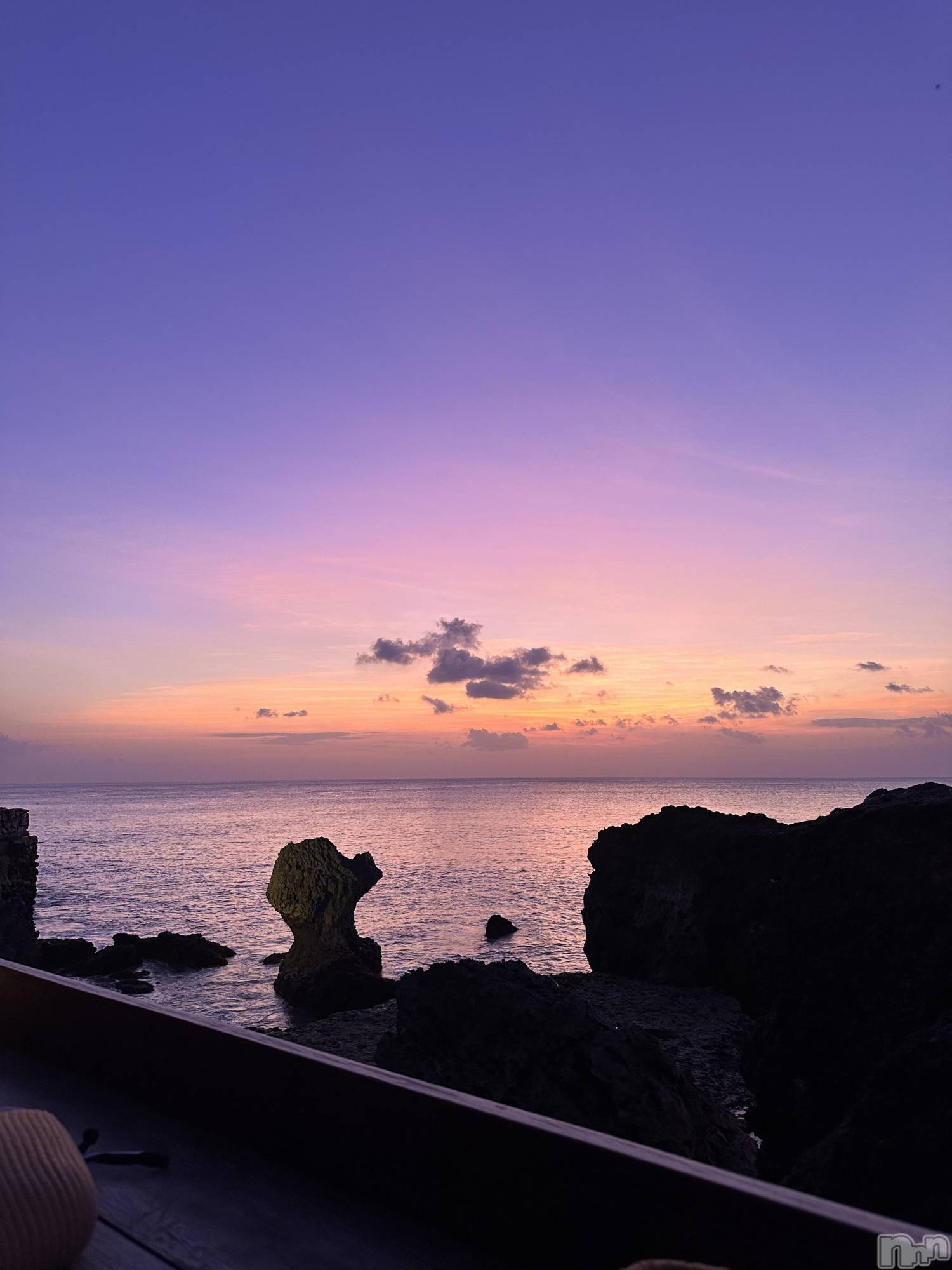 ��ˬ����Х��顦����֥���� �ץ���� ��ˬ(����� �ץ���� ����) ��2025ǯ3��1���̥�֥�����🌺��