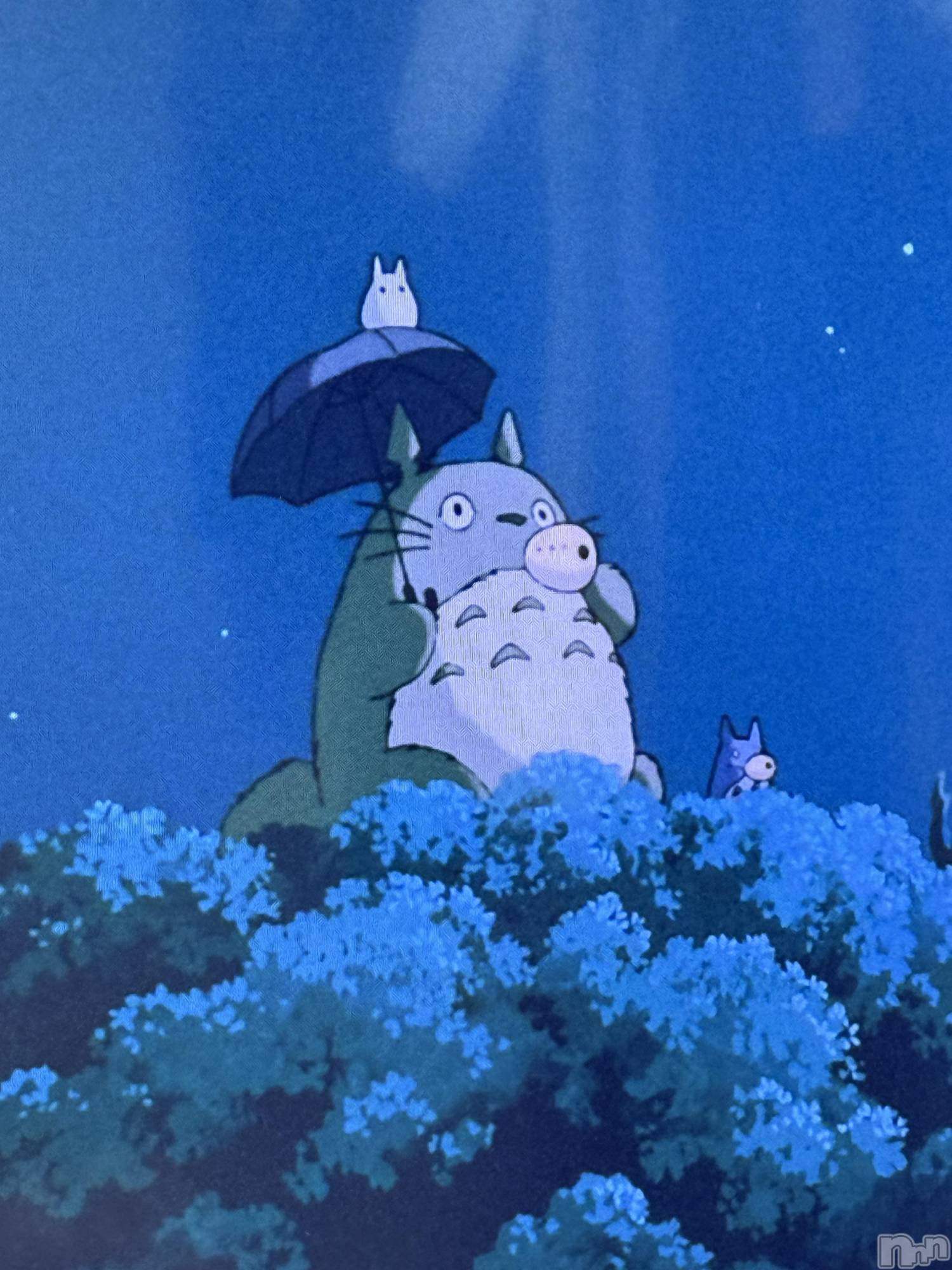 ��ˬ����Х��顦����֥���� �ץ���� ��ˬ(����� �ץ���� ����) ��2025ǯ3��21���̥�֥�����🎞️��